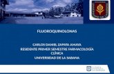 Fluoroquinolonas. Farmacología Clínica