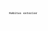 Habitus exterior