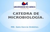 PruebasBioquimicas de Identificacion de Enterobacterias