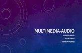 Multimedia audio