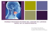 Manejo multidisciplinar del cáncer de laringe. Papel de la radioterapia.