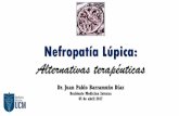 Nefropatia lupica, alternativas terapeuticas