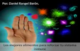 Daniel Rangel Barón: Los mejores alimentos para reforzar tu sistema inmunológico