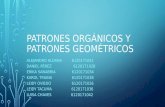 PATRONES ORGÁNICOS Y PATRONES GEOMÉTRICOS