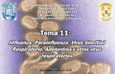 Tema 11 influenza parainfluenza vsr adenovirus y otros virus respiratorios