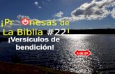 #118 ¡Promesas de la biblia #22!