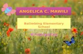 Presentation   angelica c. mawili