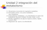 Integracion del metabolismo.ppt