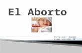 El aborto camila ariza