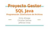 Proyecto Gestor SQL en Java - Programacion 3