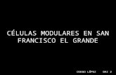 VIVIENDAS MODULARES EN SAN FRANCISCO EL GRANDE