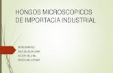 HONGOS MICROSCOPICOS DE IMPORTACIA INDUSTRIAL