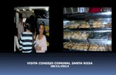 Visita consejo comunal santa rosa 08112013