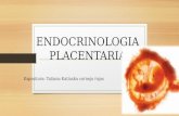 Endocrinologia placentaria placentaria taty
