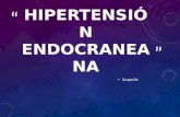 Hipertension endocraneana-final