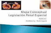 Mapa conceptual legislación penal especial