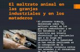 El maltrato animal en las granjas industriales y