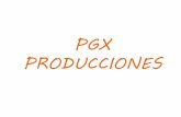 Pgx Producciones
