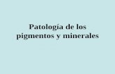 Patología de los pigmentos y minerales