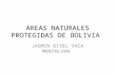 Areas naturales protegidas de bolivia jasmin