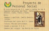 Proyecto de personal social