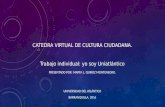 Catedra virtual de cultura ciudadana