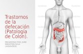 Trastornos de la defecación (patología de colon