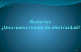 Bacterias ¿una nueva fuente de electricidad?