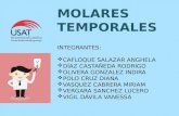 morfología externa de molares temporales