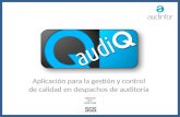 Control de calidad en auditoría con audiQ 2015