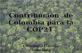 WEBINAR Compromisos climáticos - INDC de Colombia