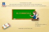 Diapositivas el curriculo by cristh