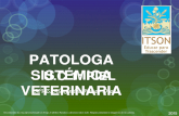 Patología sistémica Veterinaria. UC2 Piel.