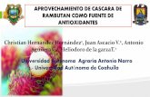 Aprovechamiento de la cascara de rambutan como fuente de antioxidantes
