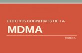 Efectos cognitivos de la MDMA