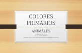 Colores primarios animales
