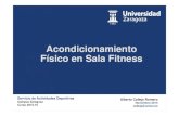Curso Acondicionamiento Físico en Sala Fitness (2 de 5)