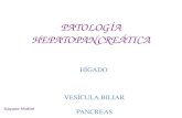 Imágenes patología hígado, vesícula biliar y páncreas