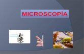 Microscopia. Tipos de microscopios