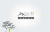 Plaza Pública Cadem: Estudio N° 103