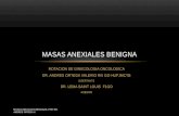 Exposicion masas anexiales benigna, por el Dr. Andres Ortega