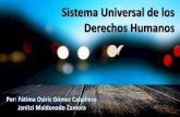 Sistema Universal de los Derechos Humanos