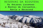 Reserva da Biosfera "Os Ancares Lucenses..."