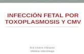 Cmv y toxoplasmosis 2015