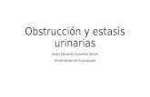 Obstrucción y estasis urinarias