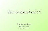 21 tumores cerebrales primarios