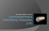 Linfangiectasia Intestinal Primaria (Lip)