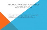 Microorganismos en la agricultura