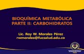 Bioquímica metabólica parte ii carbohidratos