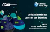 Cédula Electrónica: Casos de uso prácticos - Pablo Alzuri